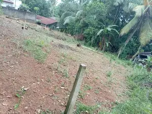 රාගම පෙදෙසෙන් වටිනා ඉඩමක් විකිණීම