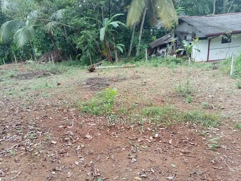 රාගම පෙදෙසෙන් වටිනා ඉඩමක් විකිණීම