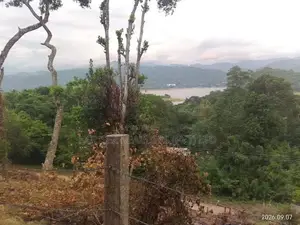 Prime Hillside Land for Sale – Kandy, Digana
