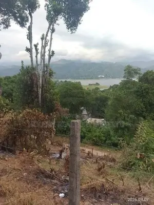 Prime Hillside Land for Sale – Kandy, Digana