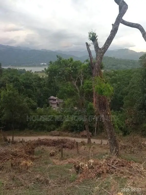 Prime Hillside Land for Sale – Kandy, Digana