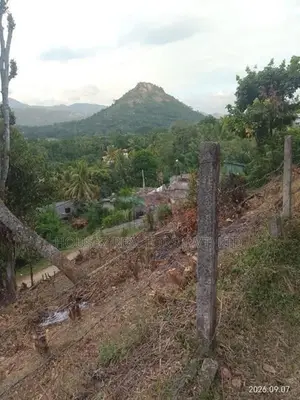 Prime Hillside Land for Sale – Kandy, Digana
