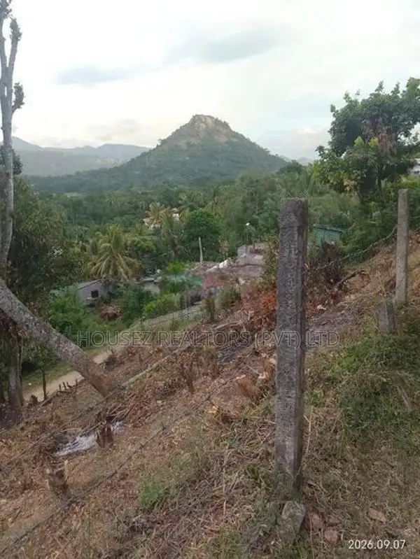 Prime Hillside Land for Sale – Kandy, Digana