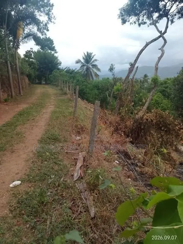 Prime Hillside Land for Sale – Kandy, Digana