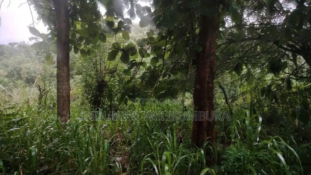 Land For Sale In Hapugasyaya, Nalanda Palapathwela