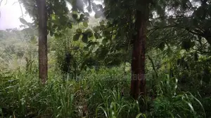 Land For Sale In Hapugasyaya, Nalanda Palapathwela