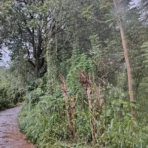 Land For Sale In Hapugasyaya, Nalanda Palapathwela