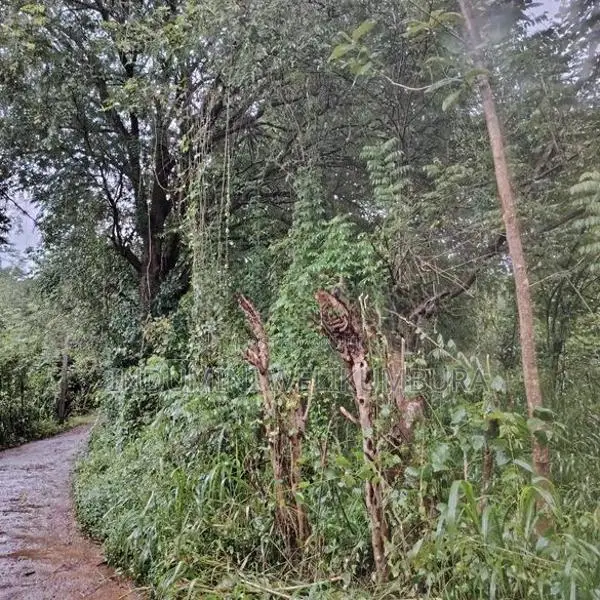 Land For Sale In Hapugasyaya, Nalanda Palapathwela