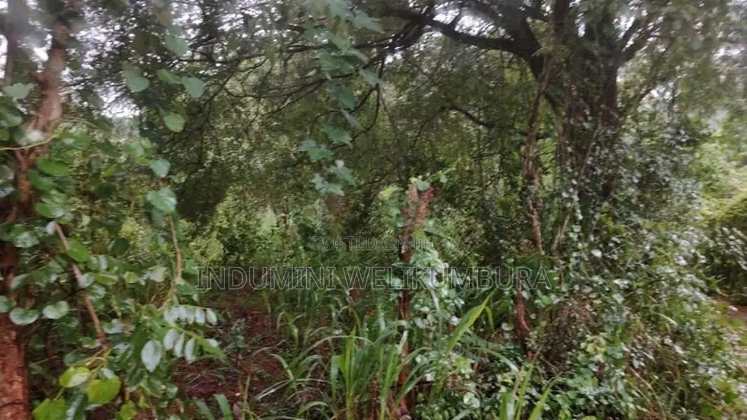 Land For Sale In Hapugasyaya, Nalanda Palapathwela