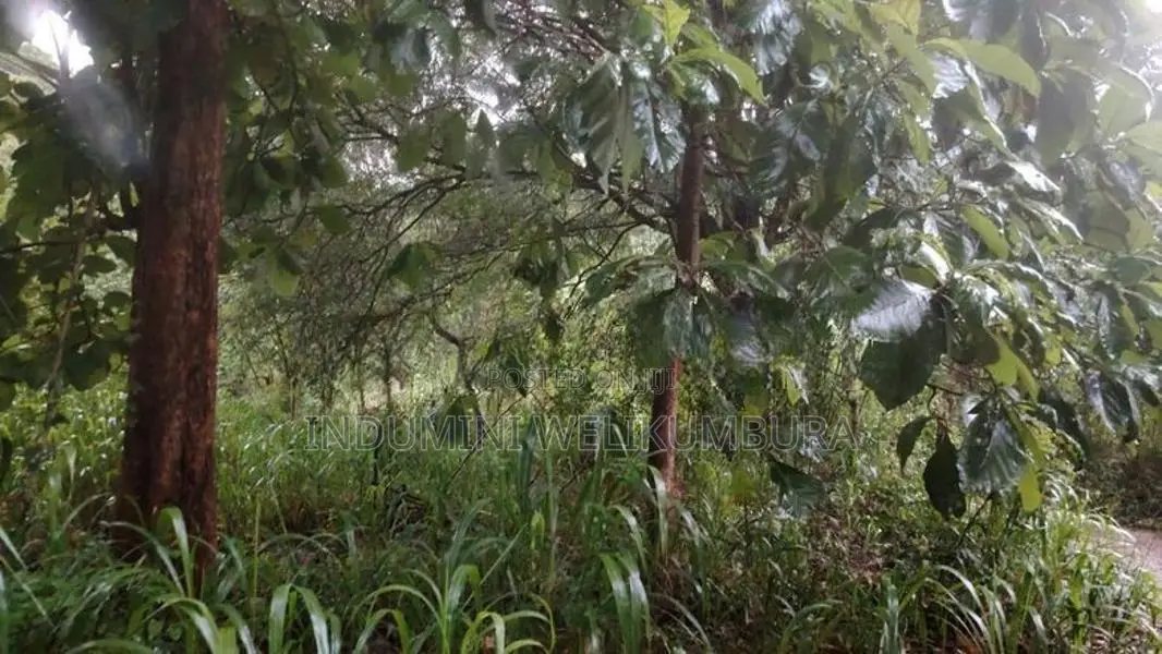 Land For Sale In Hapugasyaya, Nalanda Palapathwela