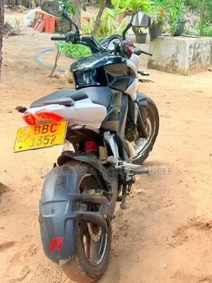 Bajaj Pulsar NS200 2014