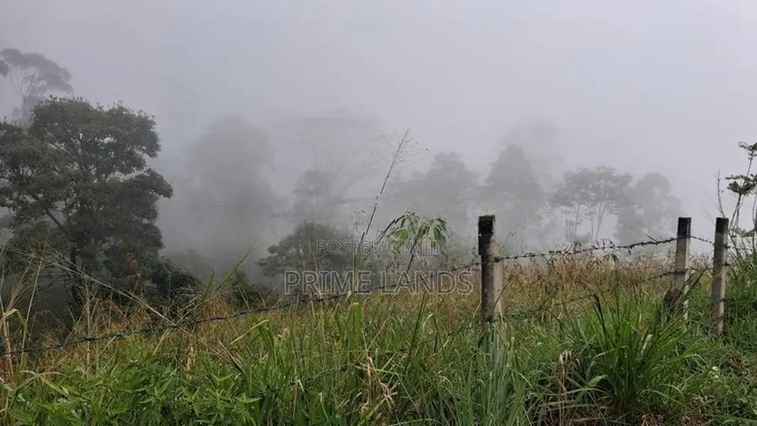 Valuable Land for Sale in Pussellawa