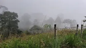 Valuable Land for Sale in Pussellawa