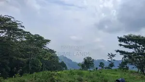 Valuable Land for Sale in Pussellawa