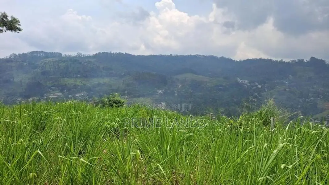 Valuable Land for Sale in Pussellawa