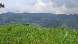 Valuable Land for Sale in Pussellawa