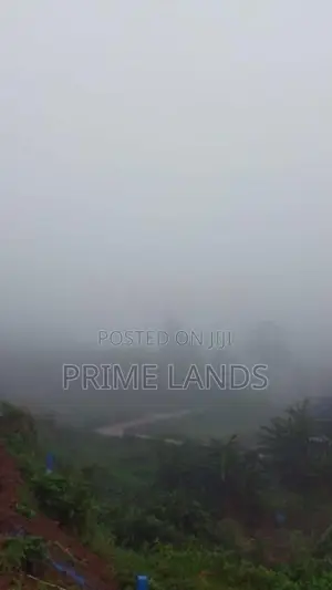 Valuable Land for Sale in Pussellawa