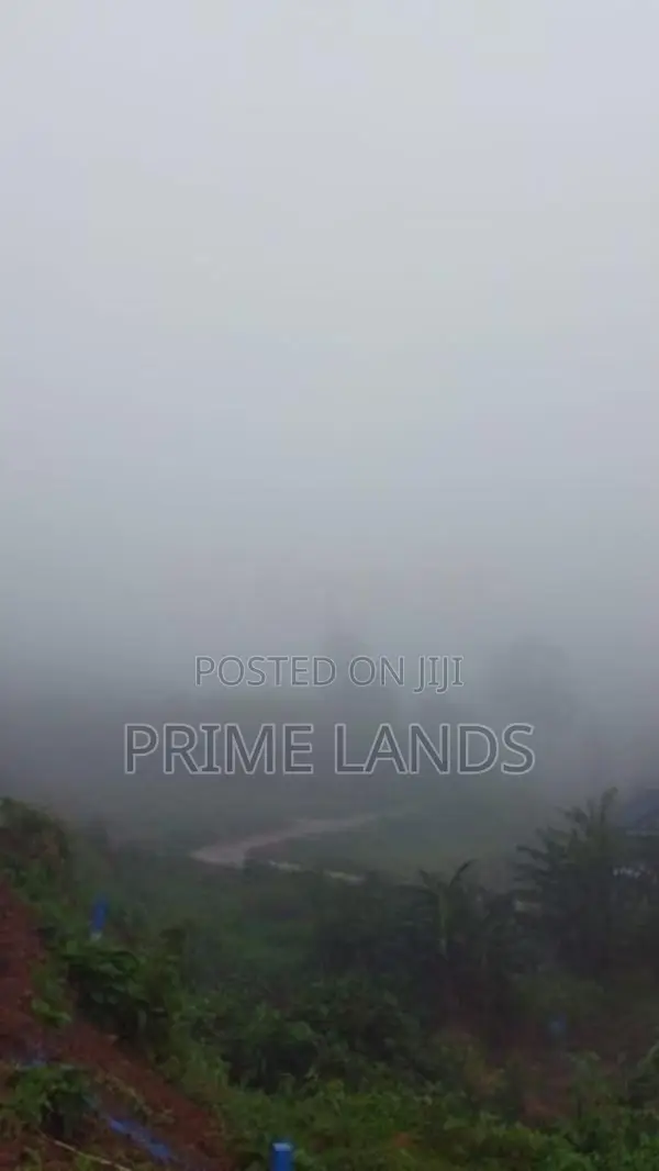 Valuable Land for Sale in Pussellawa