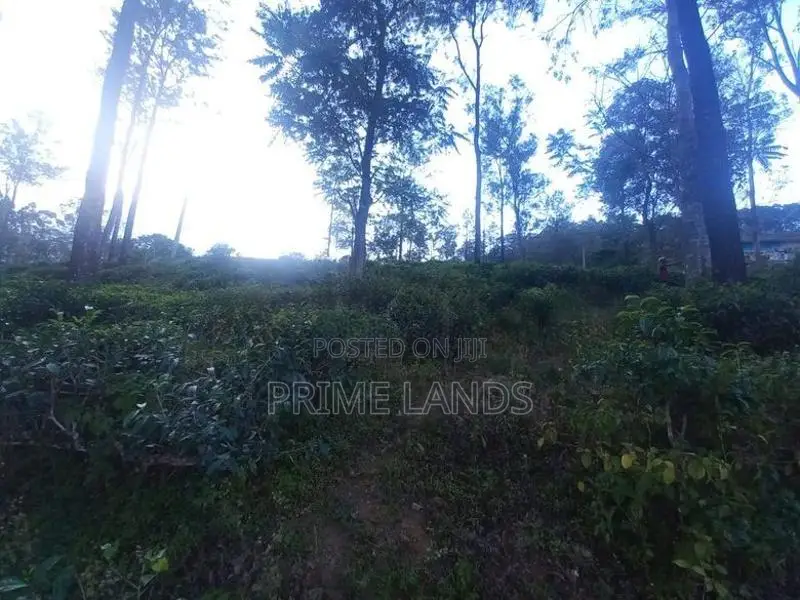 Beautiful Land for Sale in Pussellawa Delta