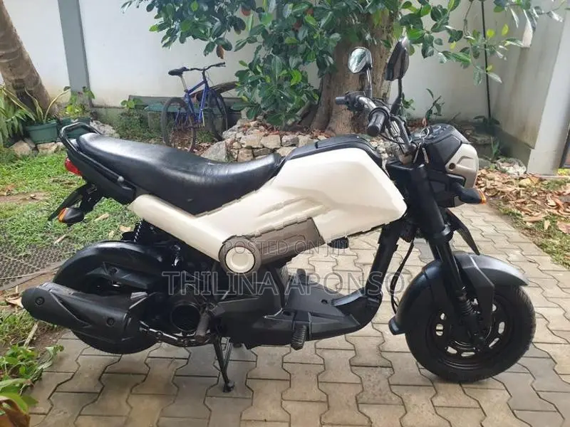 Honda Navi 2017