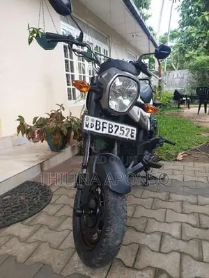 Honda Navi 2017