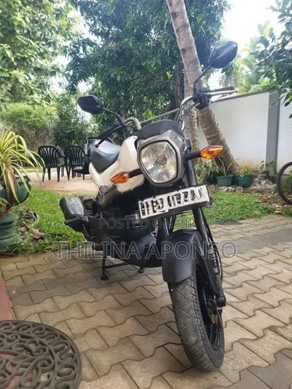 Honda Navi 2017