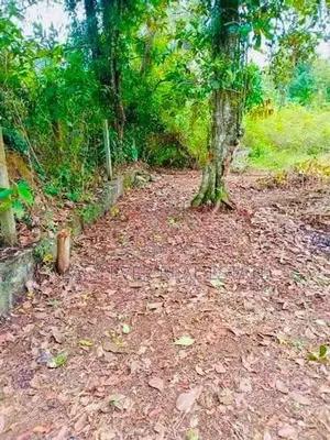 Land for Sale in Homagama