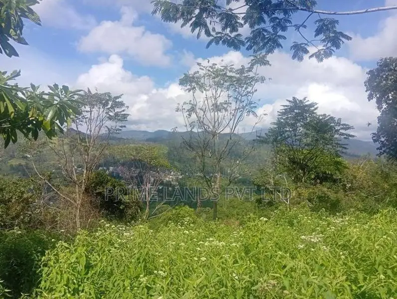 Beautiful Land in Pussalawa