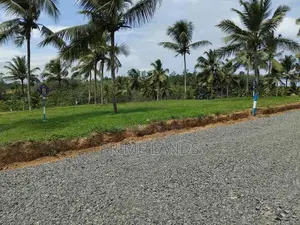 නේවාසික බිම් කොටස් - අලුත්ගම