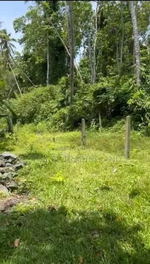 Bare Land for Sale in Galle - Cl926