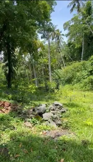 Bare Land for Sale in Galle - Cl926