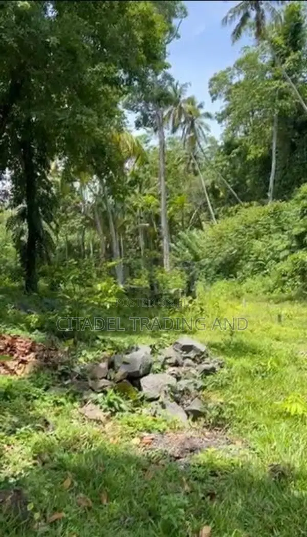 Bare Land for Sale in Galle - Cl926