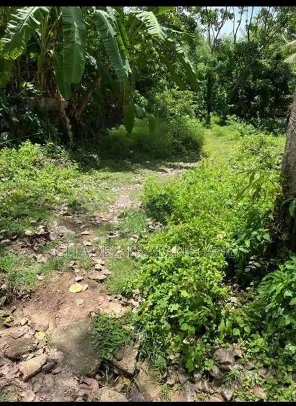 Bare Land for Sale in Galle - Cl926