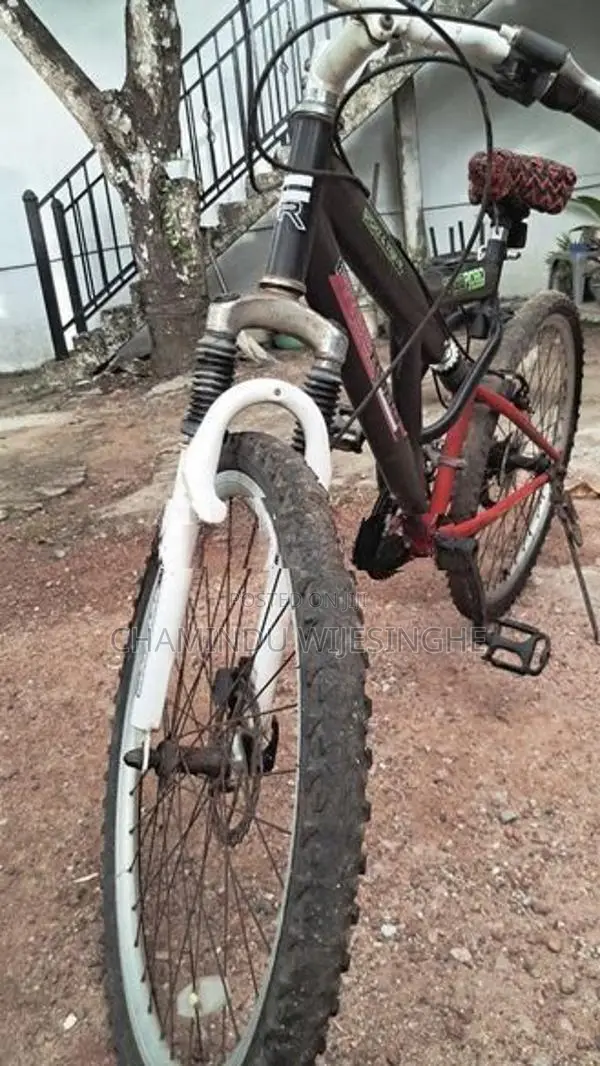 Road Brand Bicycle