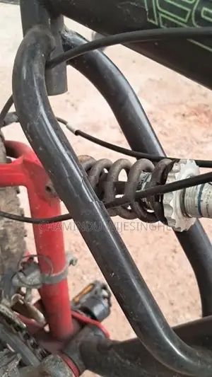 Road Brand Bicycle
