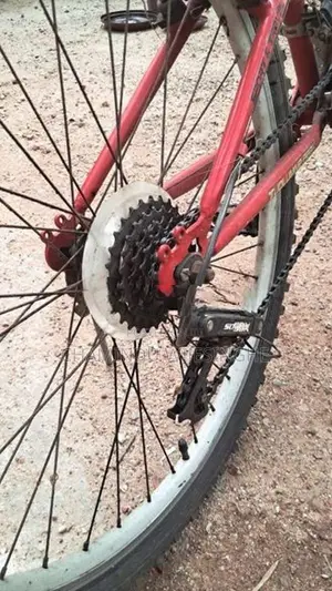 Road Brand Bicycle