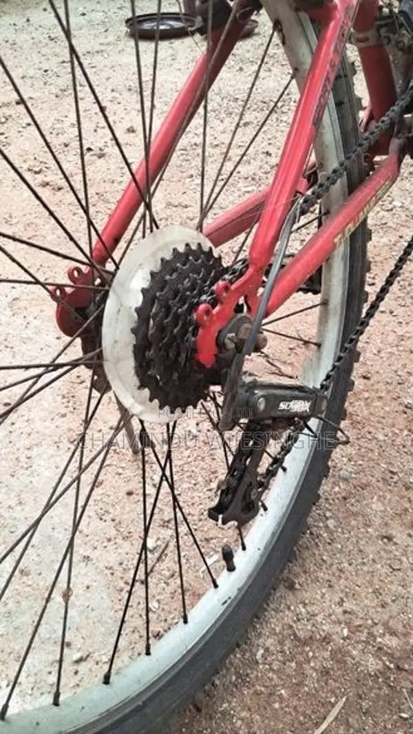 Road Brand Bicycle