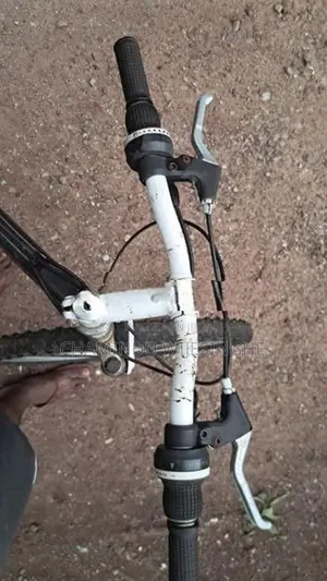 Road Brand Bicycle