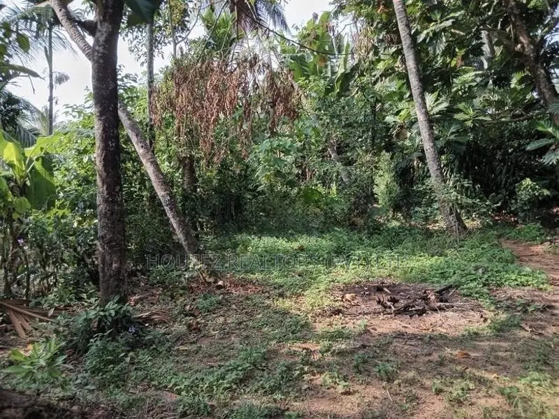 Prime Residential Land for Sale in Puwakpitiya, Avissawella