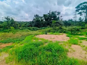 පැපිළිවල ප්‍රදේශයෙන් පර්චස් 14 ක වටිනා බිම් කොටසක් විකිණීමට
