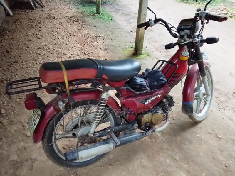 Singer Safari 2015