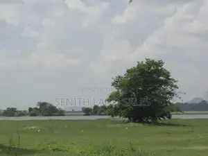 සංචාරක හොටෙල් සදහා වැවකට යාබදව සිගිරිය ඉඩමක්