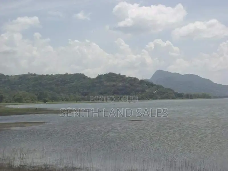 සංචාරක හොටෙල් සදහා වැවකට යාබදව සිගිරිය ඉඩමක්