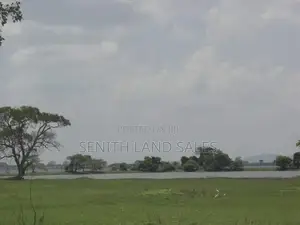 සංචාරක හොටෙල් සදහා වැවකට යාබදව සිගිරිය ඉඩමක්