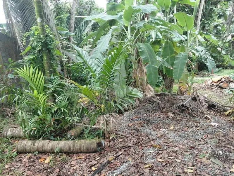 Super Land for Sale Boralesgamuwa