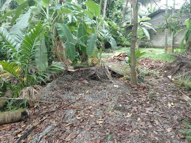 Super Land for Sale Boralesgamuwa