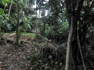 Super Land for Sale Boralesgamuwa
