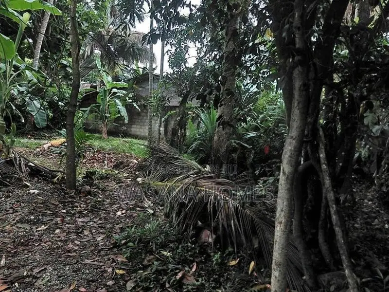 Super Land for Sale Boralesgamuwa