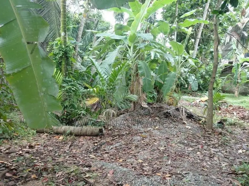 Super Land for Sale Boralesgamuwa