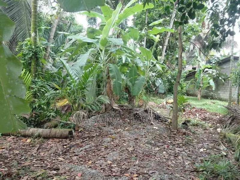 Super Land for Sale Boralesgamuwa